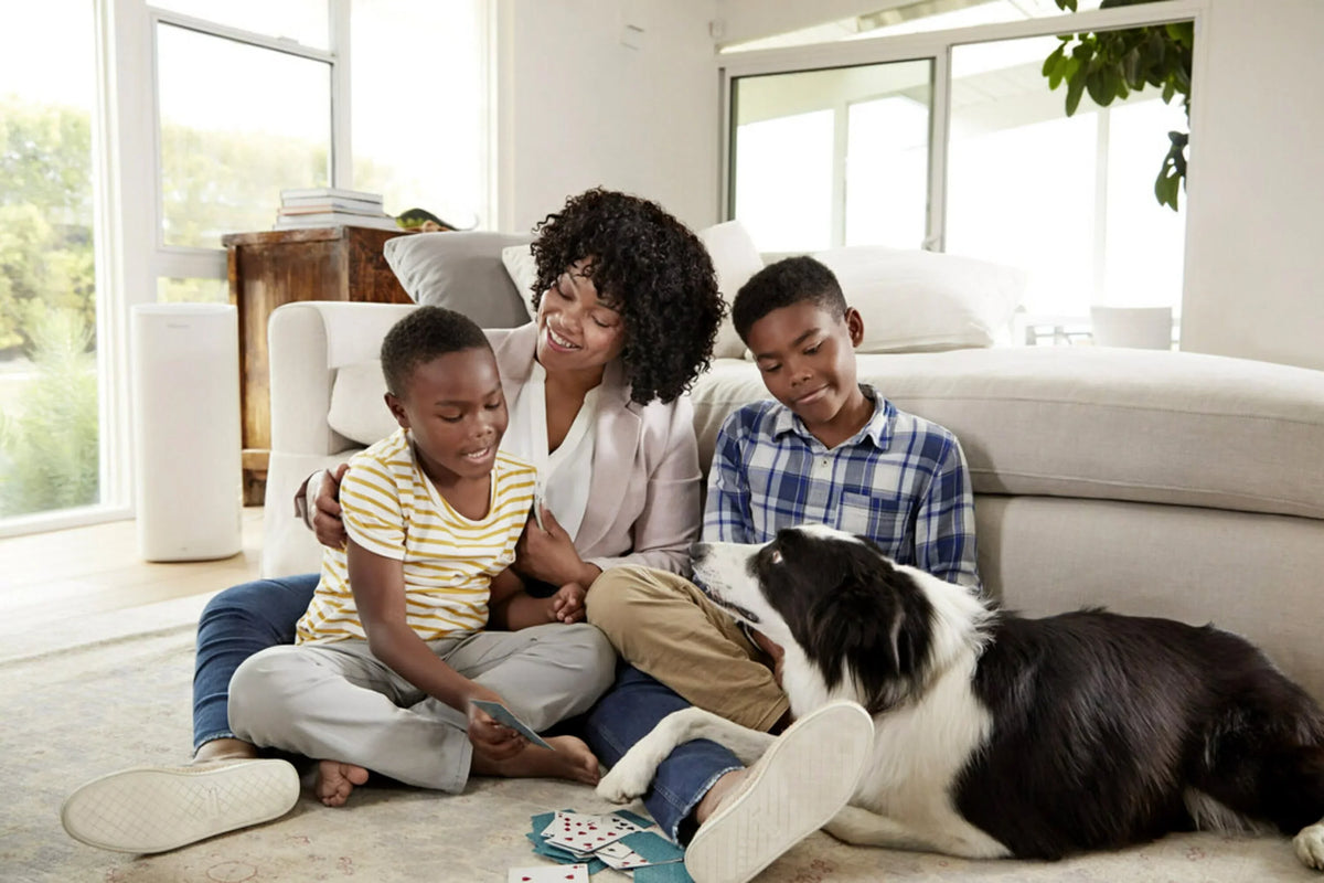 Filtrete by 3M, 20x22x1,  12, Advanced Allergen Reduction  Furnace Air Filter, Captures Allergens, Bacteria, Viruses, 1500 , 4 Filters