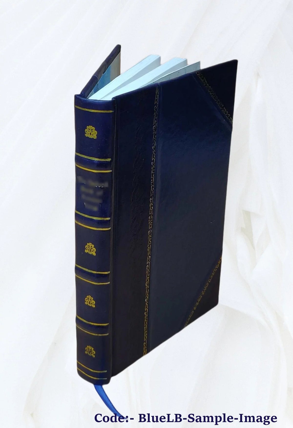Memoir and personal recollection of .. Corey 1914 [Leather Bound]
