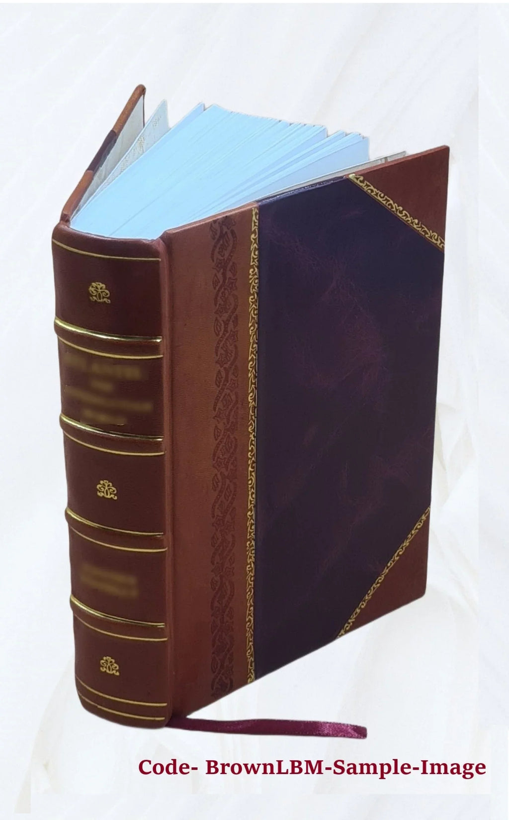 Histoire du peuple de Genève : depuis la Réforme jusqu'à l'escalade 1976 [Leather Bound]