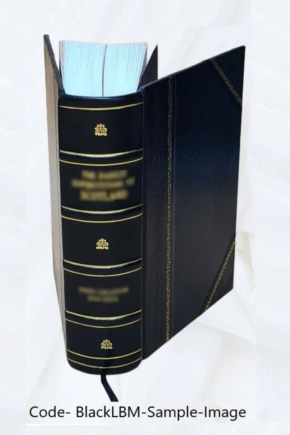 Le diocèse de Genève (partie de Savoie) pendant la Révolution française Volume 2 1894 [Leather Bound]